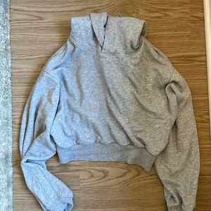 Aritzia Cropped Hoodie